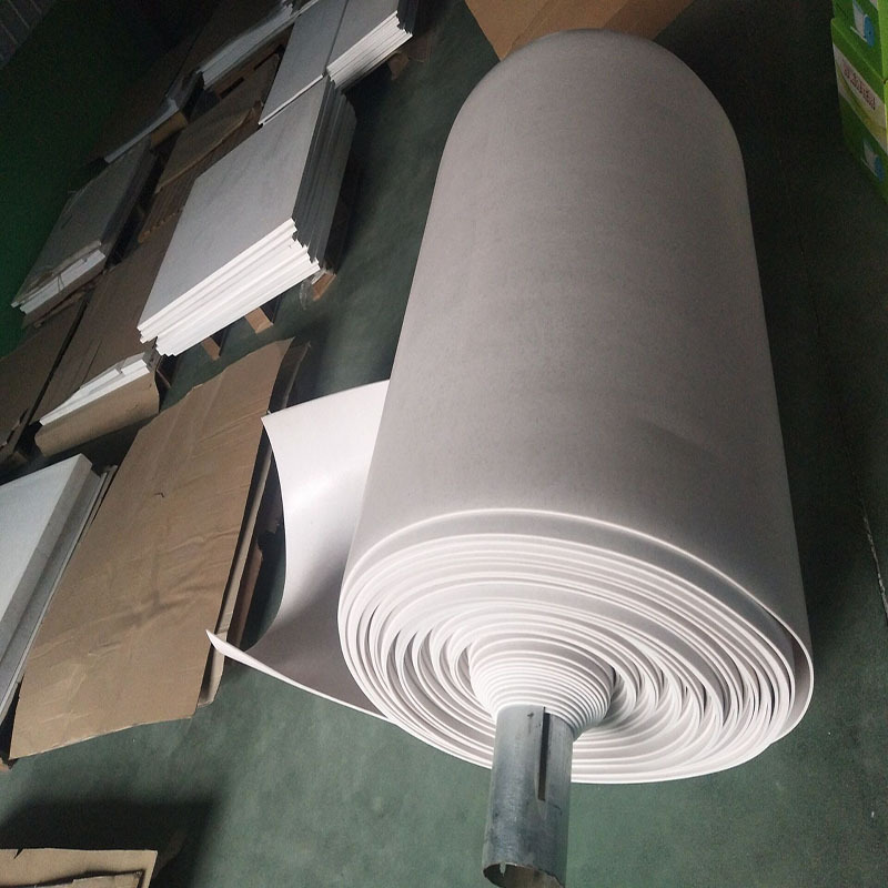 10 MPa PTFE-Rolle von PAIDU